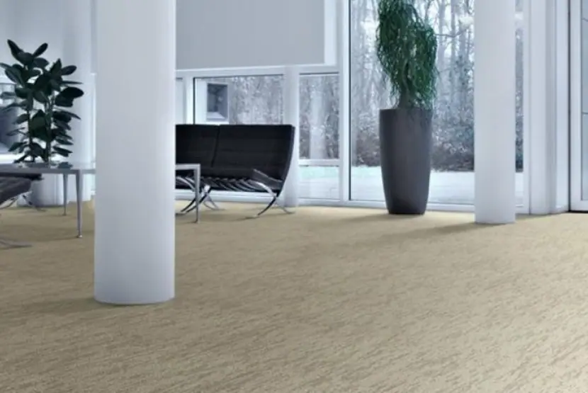 Desso Airmaster Atmos, foto 2