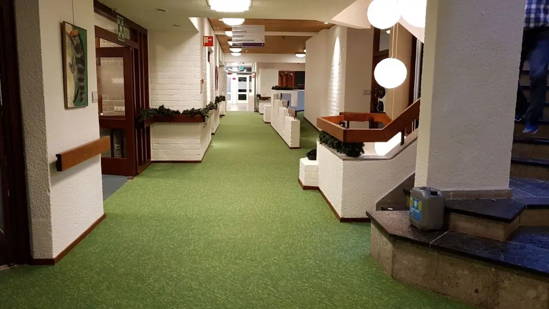 Desso Grain
