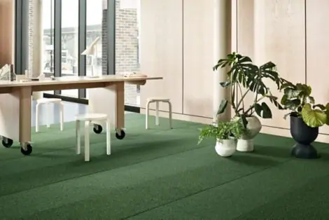 Interface TandT2 101 102 Forest (M) Level Set Winter Grey (A)