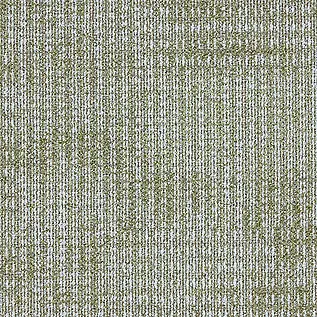 Interface Works Element 4310002 Cactus