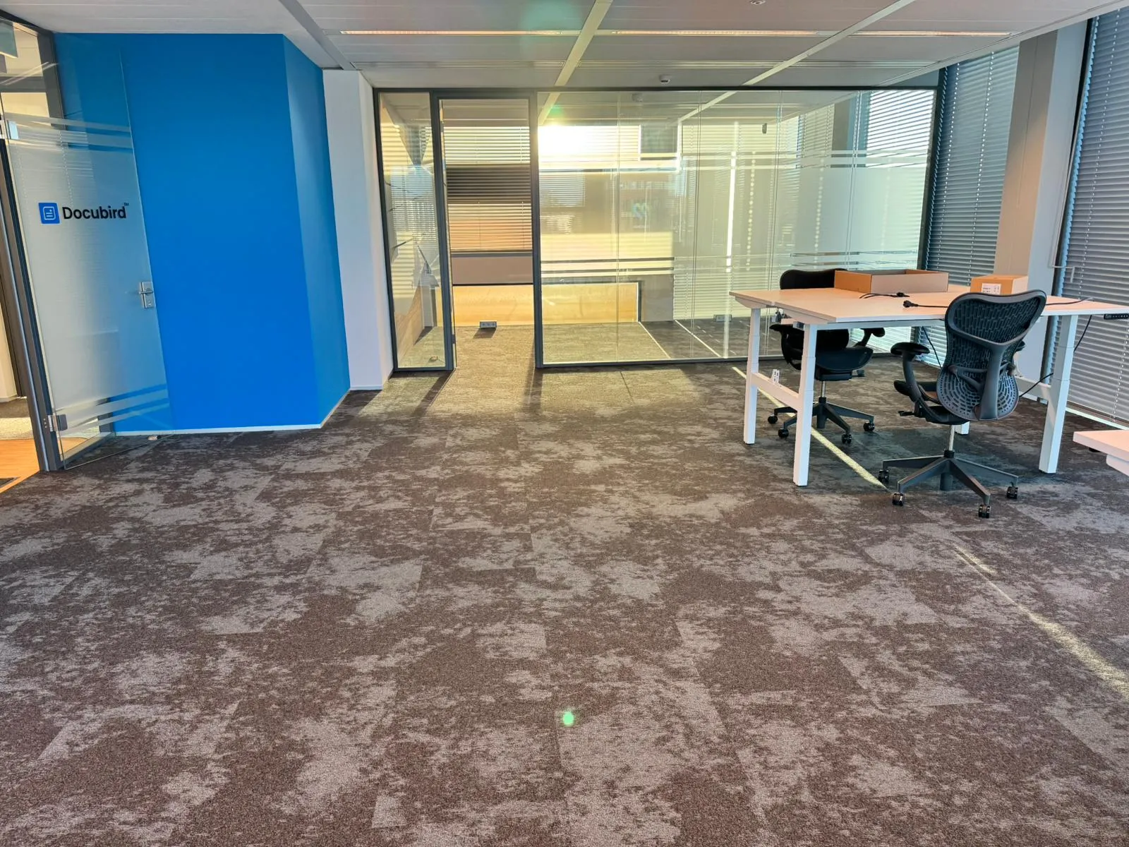 Tapijttegels bij de glazen spreekkamers van het kantoor in Bergschenhoek