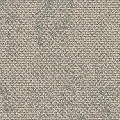 Dry Bark 2529001 Desert Neutral Dry Bark 2529001 Desert Neutral