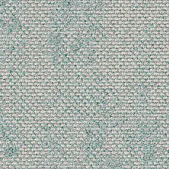 Dry Bark 2529004 Saltwater Depth Dry Bark 2529004 Saltwater Depth