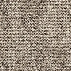 Dry Bark 2529005 Rainforest Neutral Dry Bark 2529005 Rainforest Neutral