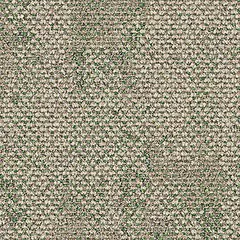 Dry Bark 2529006 Rainforest Canopy Dry Bark 2529006 Rainforest Canopy