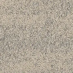 Sandbank 2528001 Desert Sandbank 2528001 Desert
