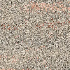 Shallows 2527001 Desert Shallows 2527001 Desert
