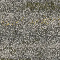 Shallows 2527005 Spinifex Shallows 2527005 Spinifex