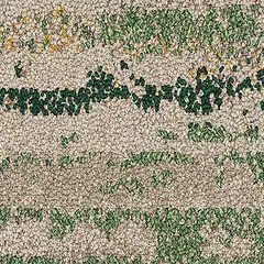 Undulating Water 2526003 Rainforest Undulating Water 2526003 Rainforest
