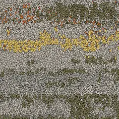Undulating Water 2526005 Spinifex Undulating Water 2526005 Spinifex