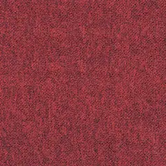 Tradition 305 Red Tradition 305 Red