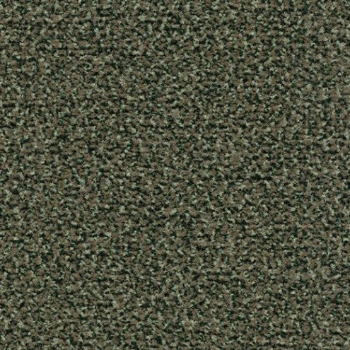 Coral Classic 4758 olive