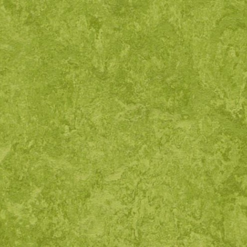 Forbo Marmoleum Real 3247 green