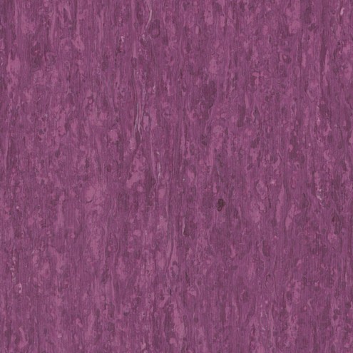 optima-purple-0255