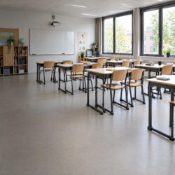 Onderwijs 400x400 Onderwijs
