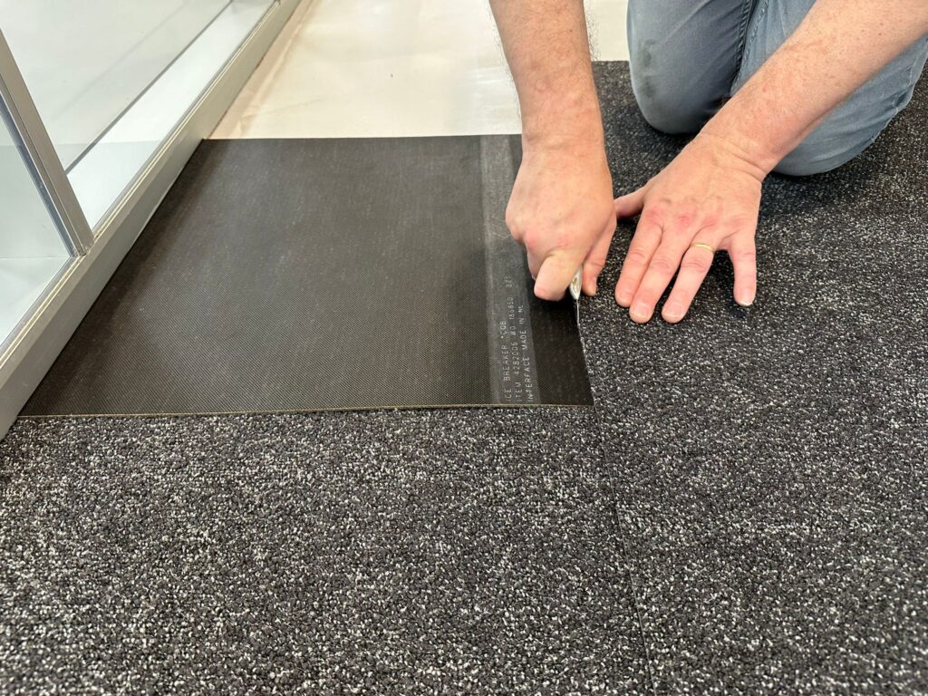 Barnwell Zilveren Dolfijn Delphin Tapijt Fitters Werk Trimmen