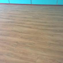 Trivium College in Amersfoort | 2015